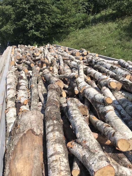 Дрова твердих порід