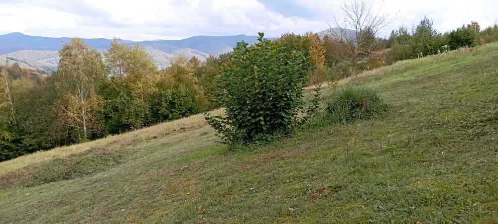 Продаю чудову ділянку у чудовому місці на курорті Поляна