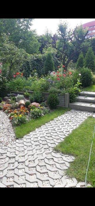 Dom – Kalisz - Widok 5