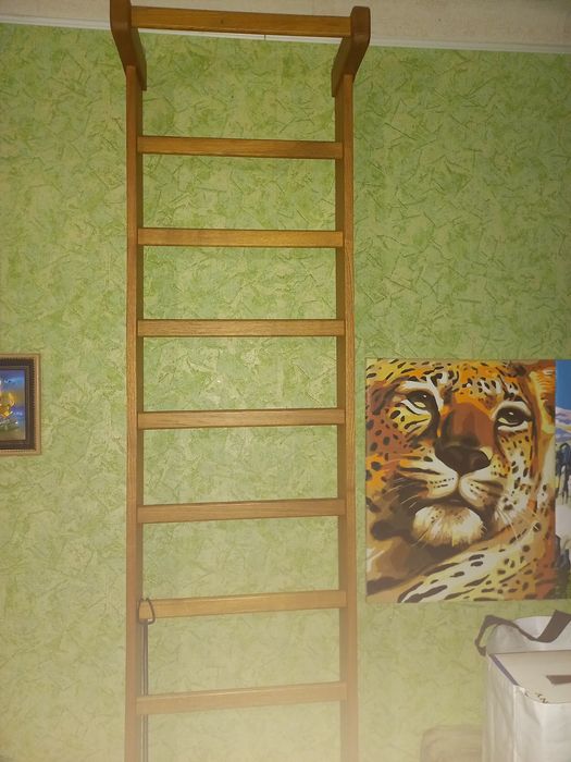 Шведская стенка-лесенка