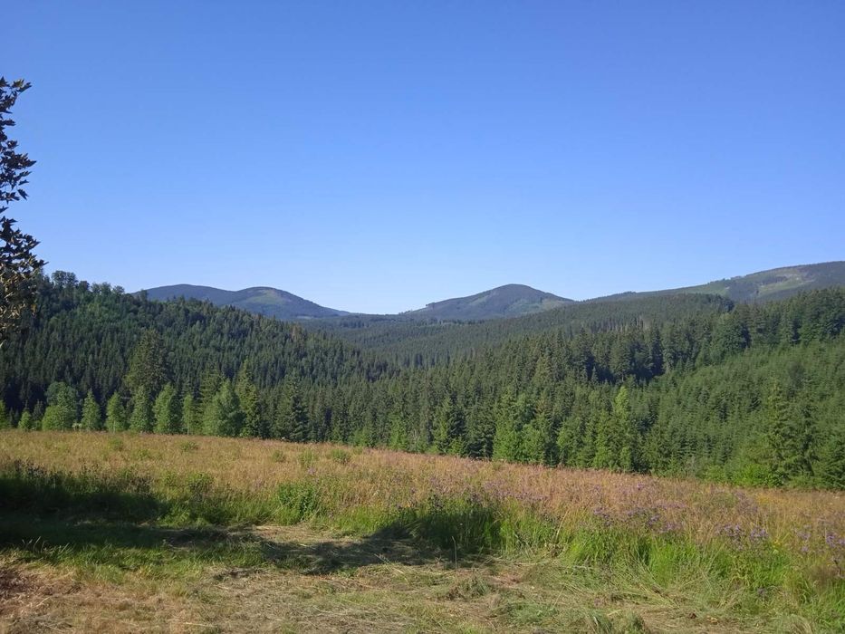 Продаж земельної ділянки під забудову с Вишків