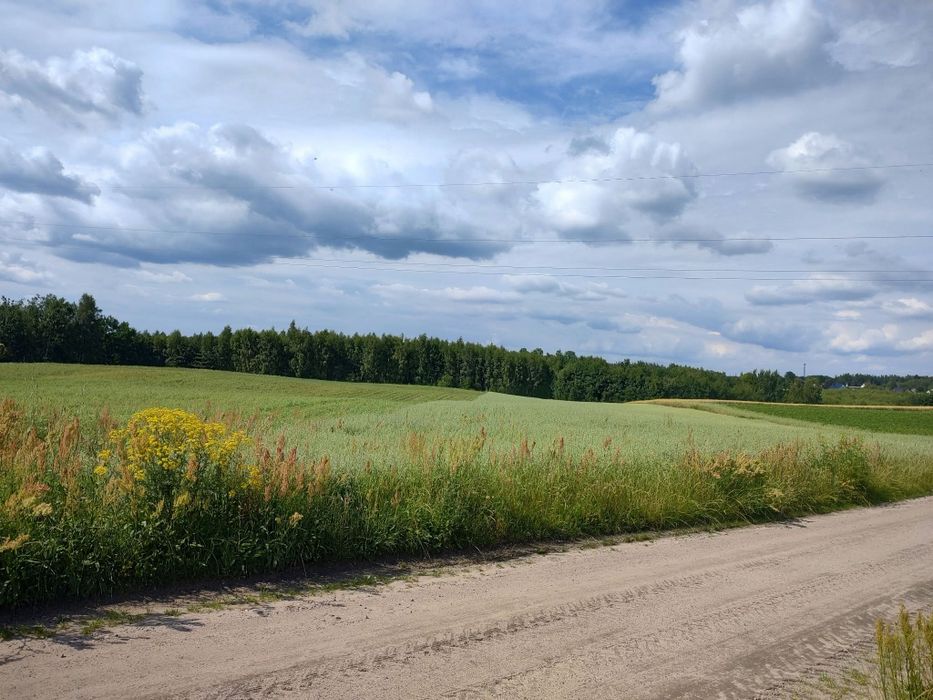 Ziemia, pole, sprzedam 2,5h