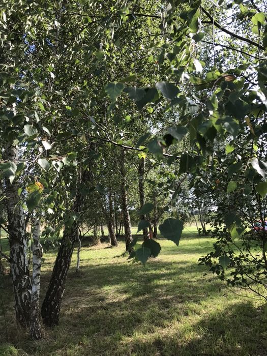 Duży dom domek nad rzeką k Warszawy domek kawalerski panieński