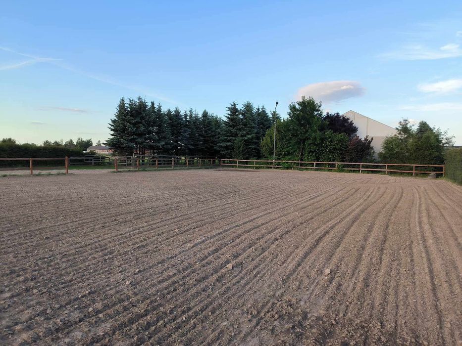 WOLNY BOKS! Pensjonat dla koni