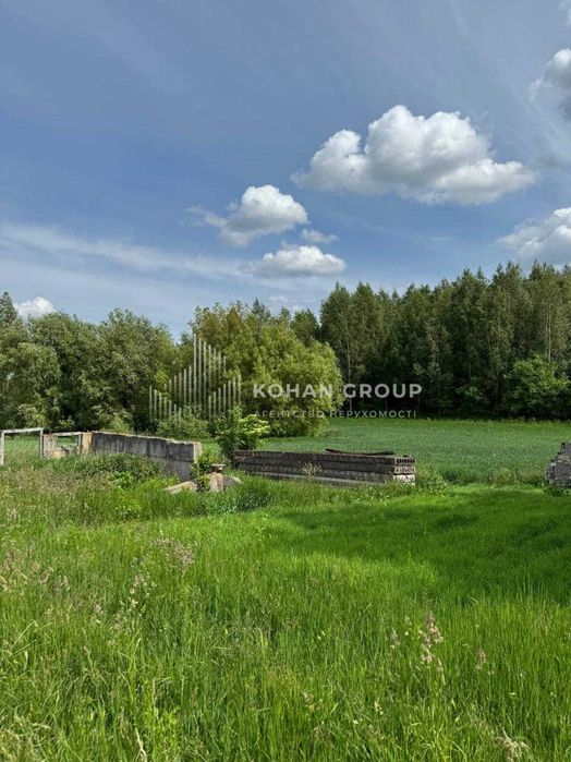 ‼️Продаж земельної ділянки під житлову забудову, Антоніни, 49 соток‼️