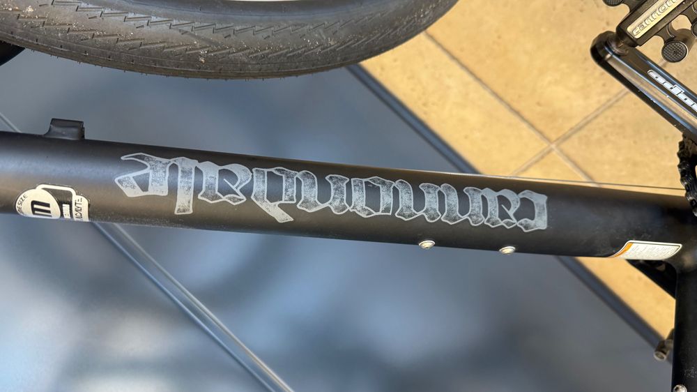 Cannondale Bad Boy