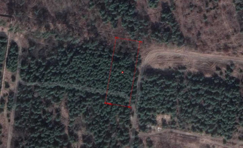 Жорнівка-Бобриця продаж 0,25.5 га з сосною на ділянці