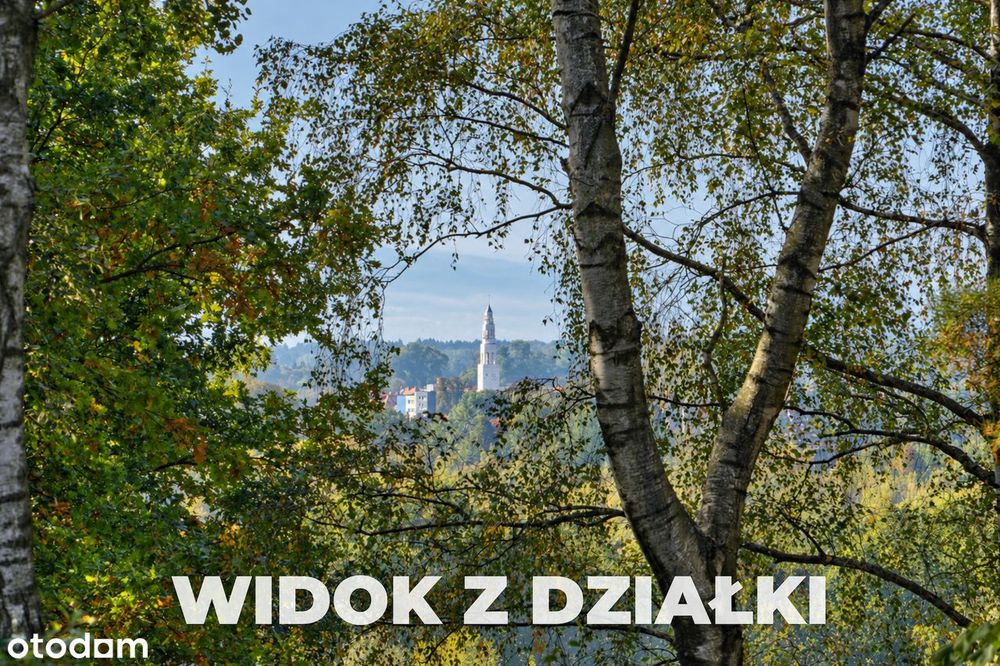 Ubocze | 1051 M²| Działka Przy Lesie| Warunki Zabudowy| Widok Na Góry - Widok 5