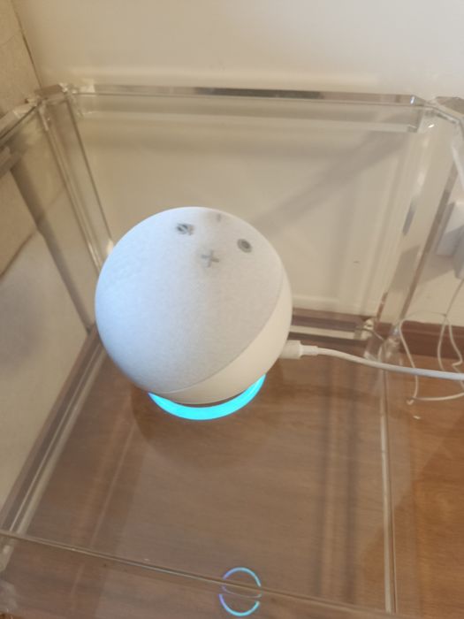 Alexa Branca-Bom estado