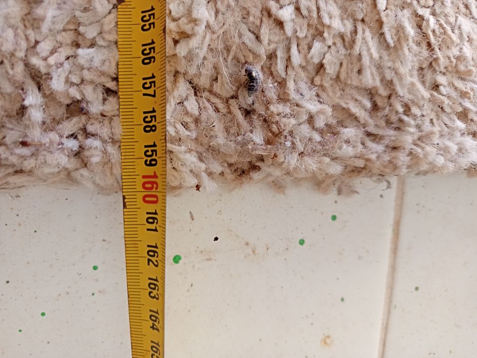 Tapetes de pêlo bege