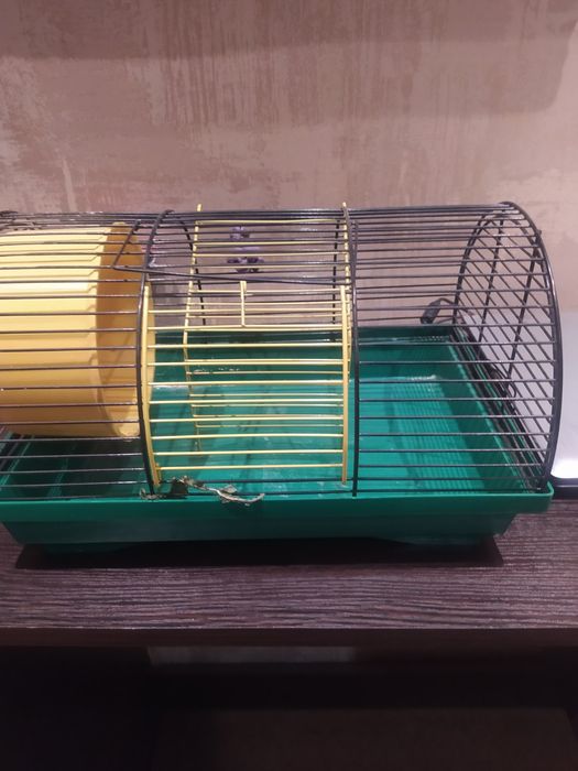 Завжди!!!джунгарики,клітки.