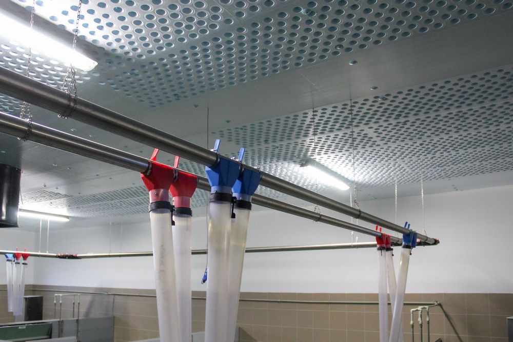 Sufit Wentylacyjny Perforowany Panele Izolacyjne Styrodur XPS AGRO 40