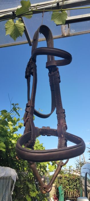 Uzda z prawdziwej skóry, zaprzęg, bryczka