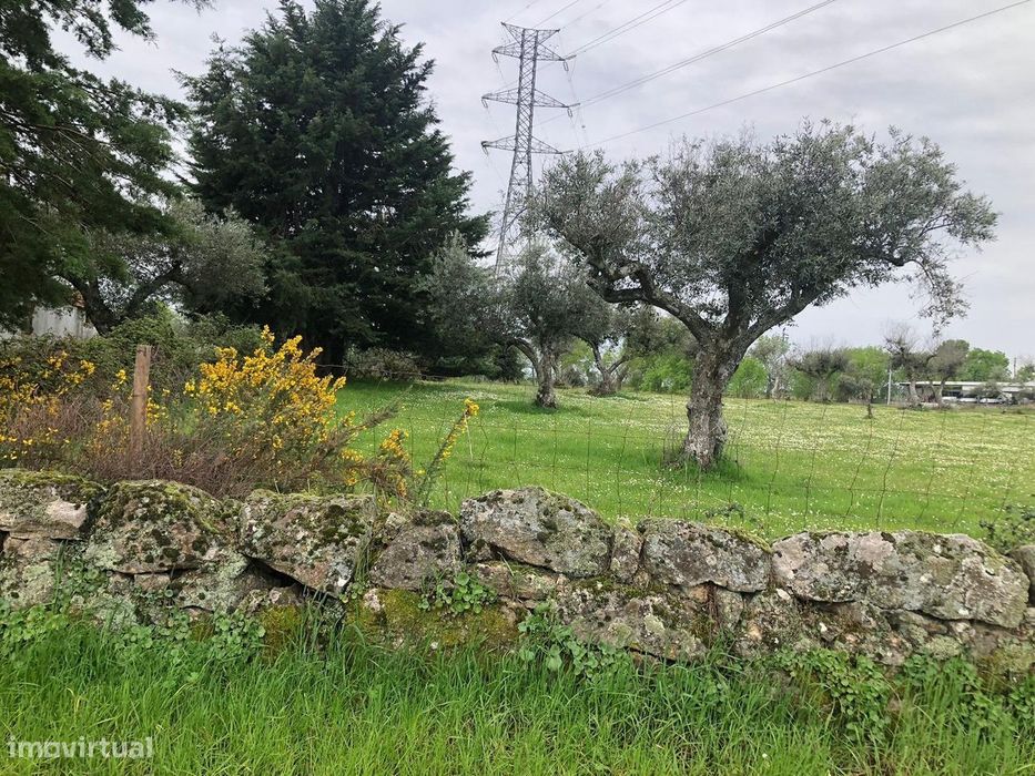 Terreno — Lardosa, Castelo Branco