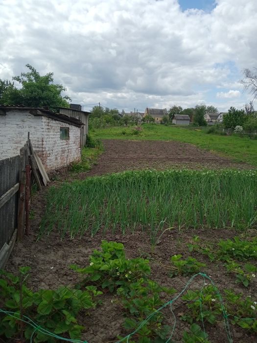 Продам будинок і земельну ділянку 26 сот