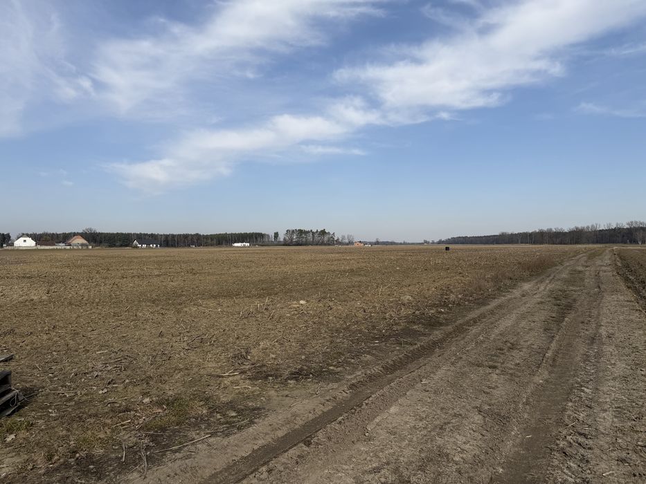 Niechłód działka budowlana blisko Leszna