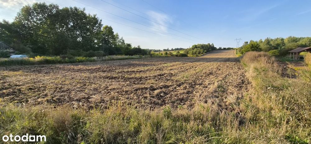 Działka rolno-budowlana w spokojnej okolicy - Widok 2