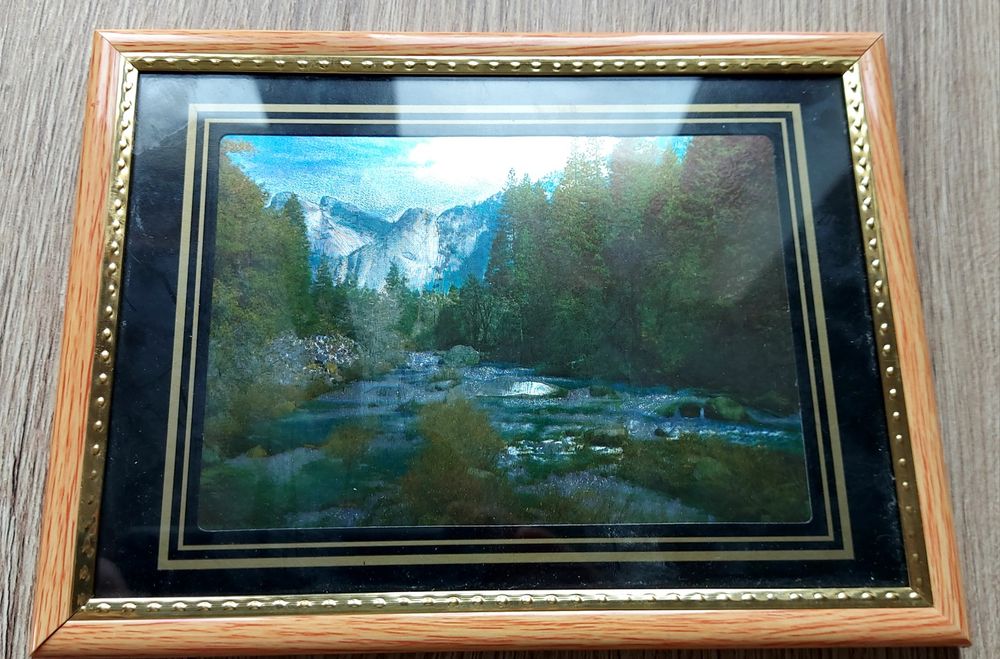 Obrazek  maly z kwiatem i  2 małe  jesienne