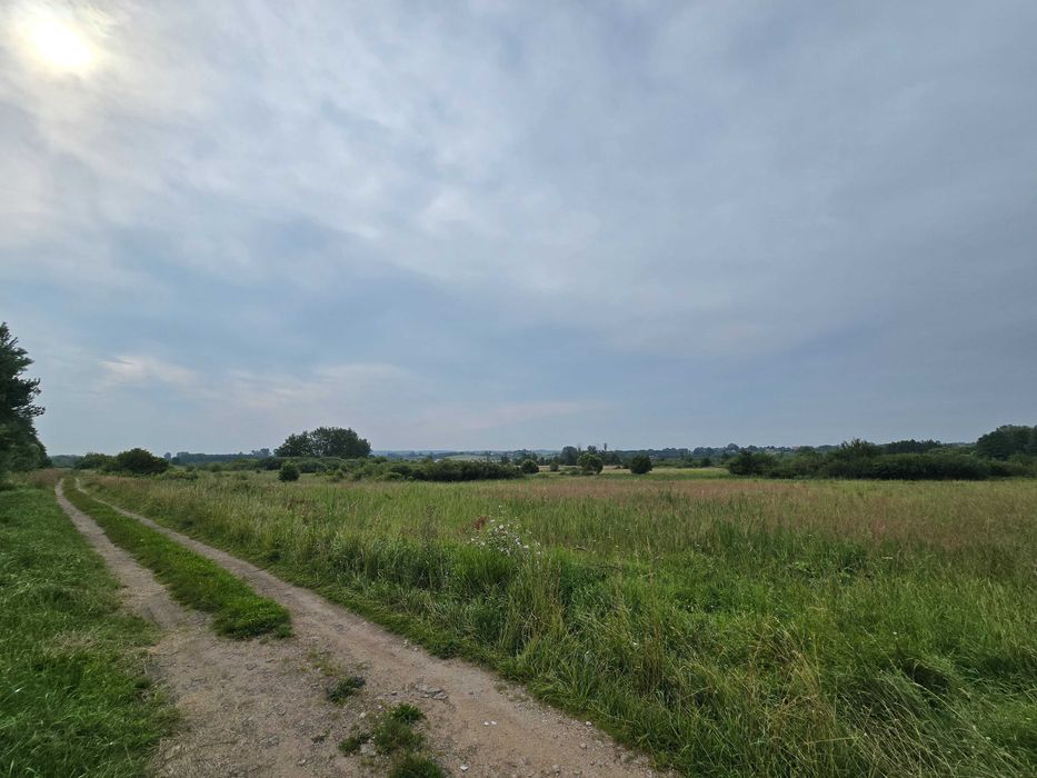 Działka pod staw i rekreacje 1.11ha - Mikułowice k.Buska-Zdroju - Widok 2