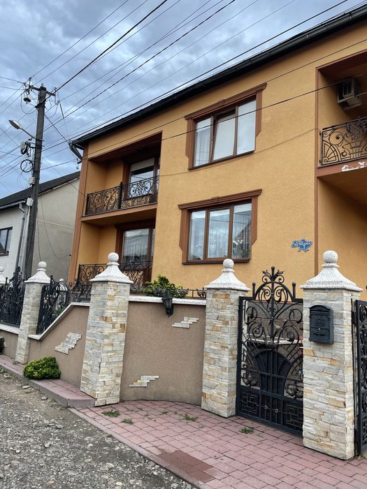 Продається просторий будинок 290 м² у с. Іза з гаражем, садом та окремою житловою частиною