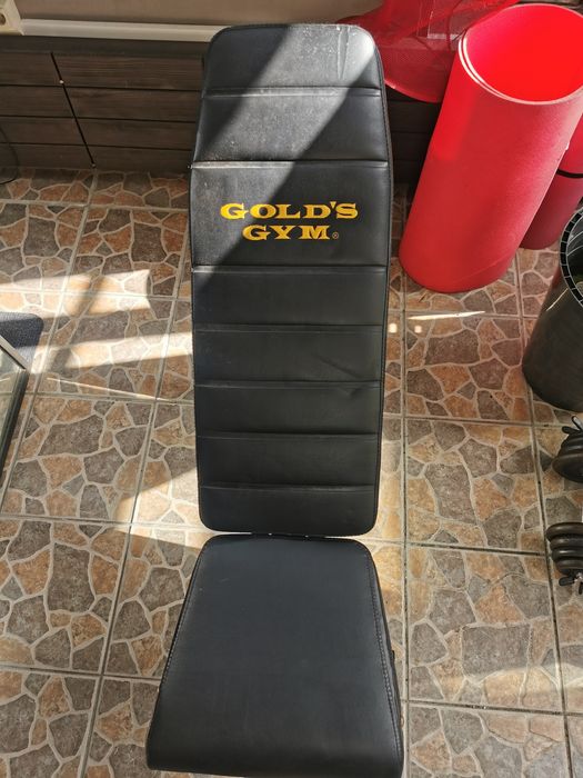 Banco de musculação Gold's Gym