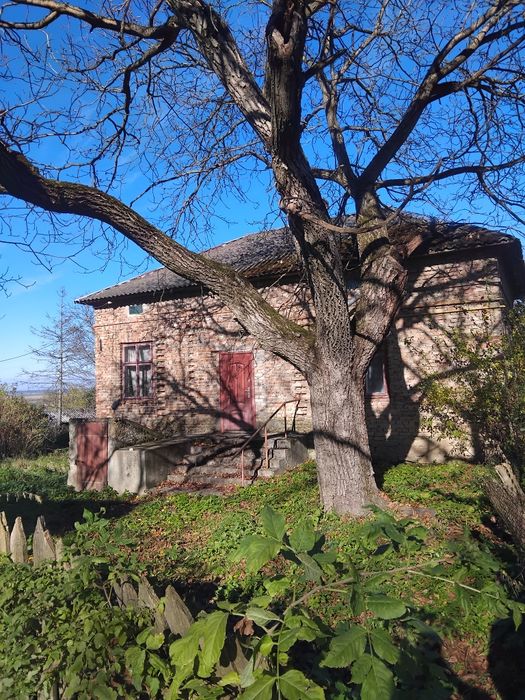 Продам будинок в с. Липина Золочівського району.