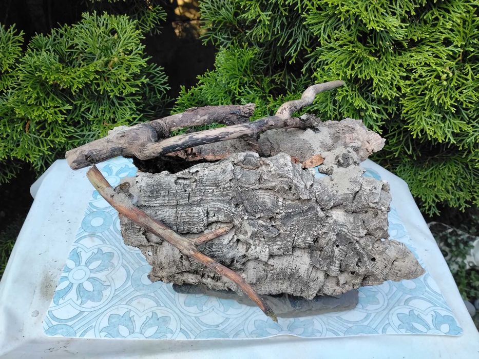 Bardzo duża grota   ok.30cm