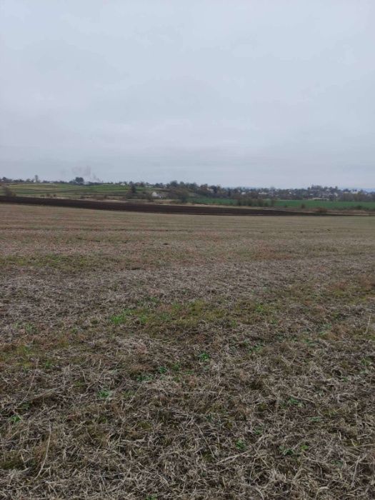 Продаж земельної ділянки, с.Глуховичі, 10 сот.,БЕЗ КОМІСІЇ ДЛЯ ПОКУПЦЯ