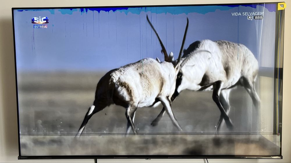 Tv Hisense 58’ (danificada)