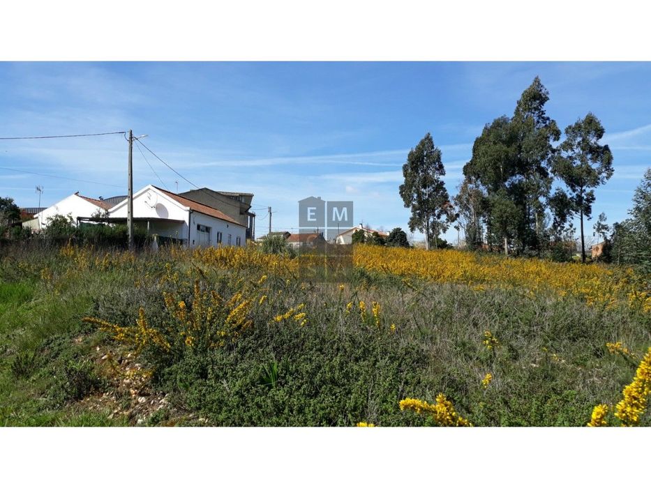 Terreno Rústico  Venda em Eixo e Eirol,Aveiro