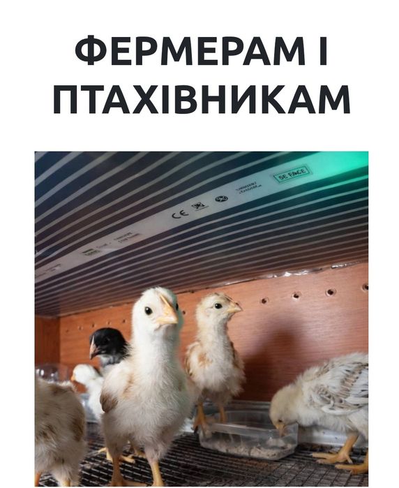 Килимок для обігріву електричний для птахів та для сушіння продуктів