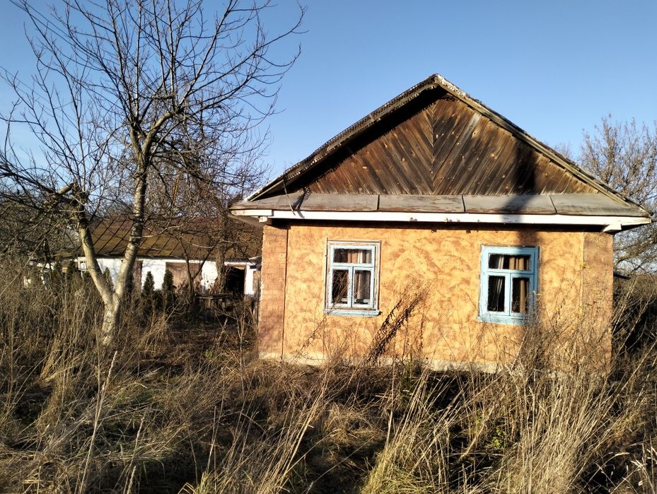 Продається будинок 69 м² на земельній ділянці 25 соток