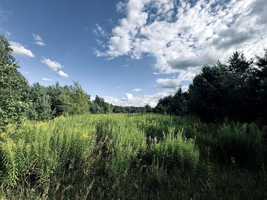 Продаж ексклюзивної ділянки в лісі  Руда-Красна