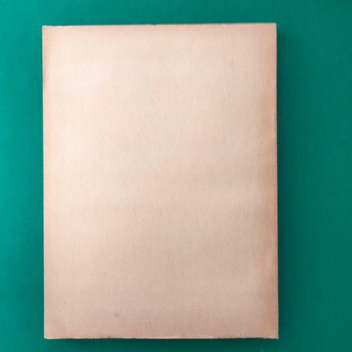 Pinheiro Chagas Ministro da Marinha e Ultramar por Óscar Pacheco