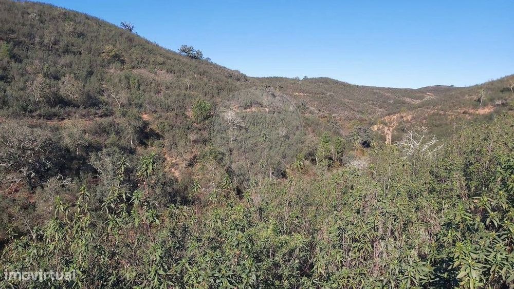 Terreno  para venda — São Bartolomeu de Messines, Faro