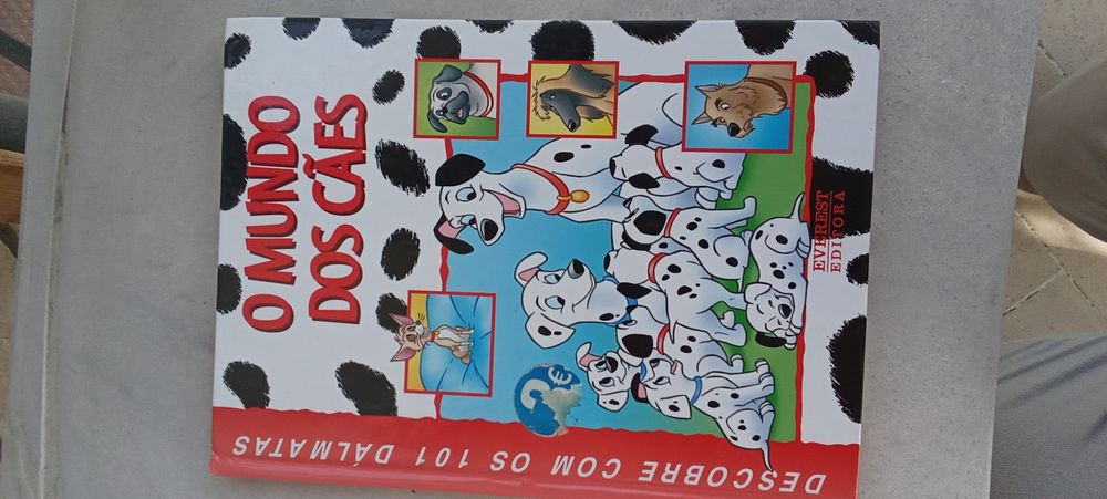 CAES GATOS E OUTRAS Companhias. Conselhos 192 Pag. 6 Fotos