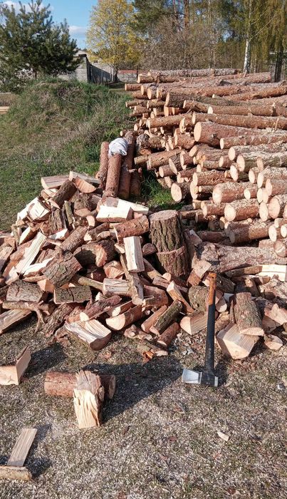 Sprzedam drzewo sosnowe pocięte i porąbane