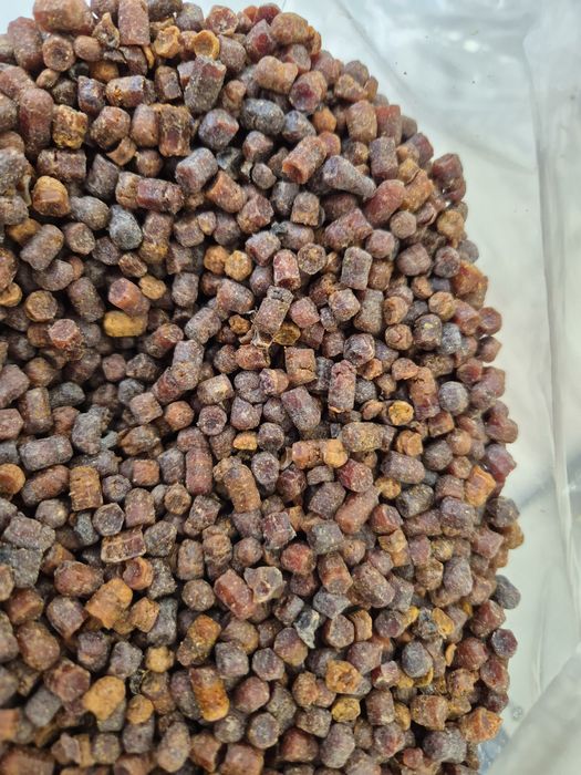 Pierzga Pszczela 1 kg