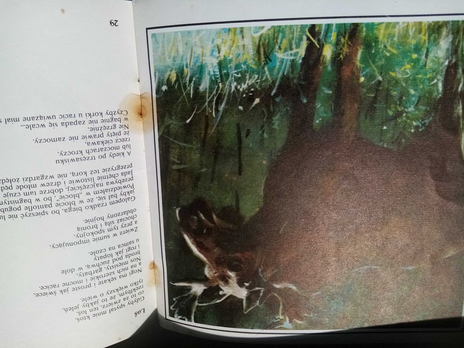 adrok, wiedzą wiewiórki z czego robi się wiórki, PRL