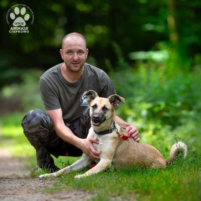 Ewinka szuka domu! OTOZ Animals Ciapkowo