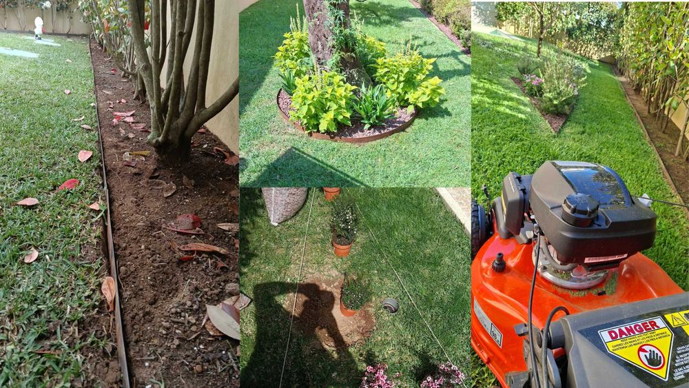 Construção e Manutenção de Jardins em Gaia.