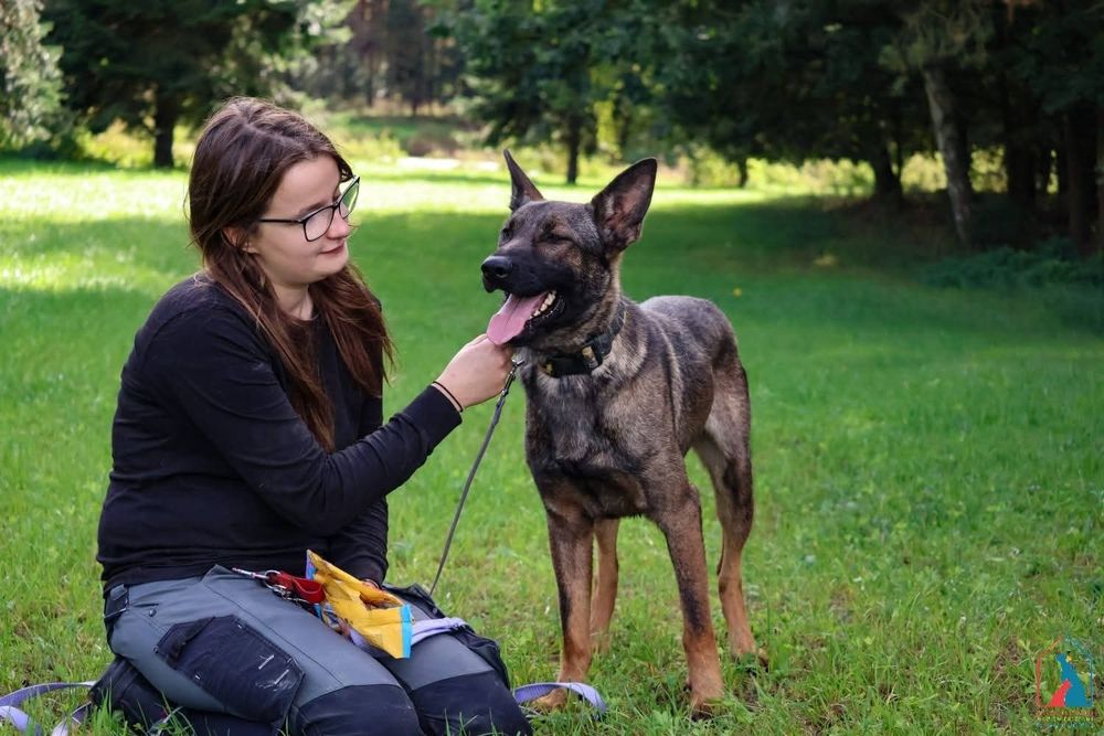 Forest 256/25 - SZUKA DOMU!