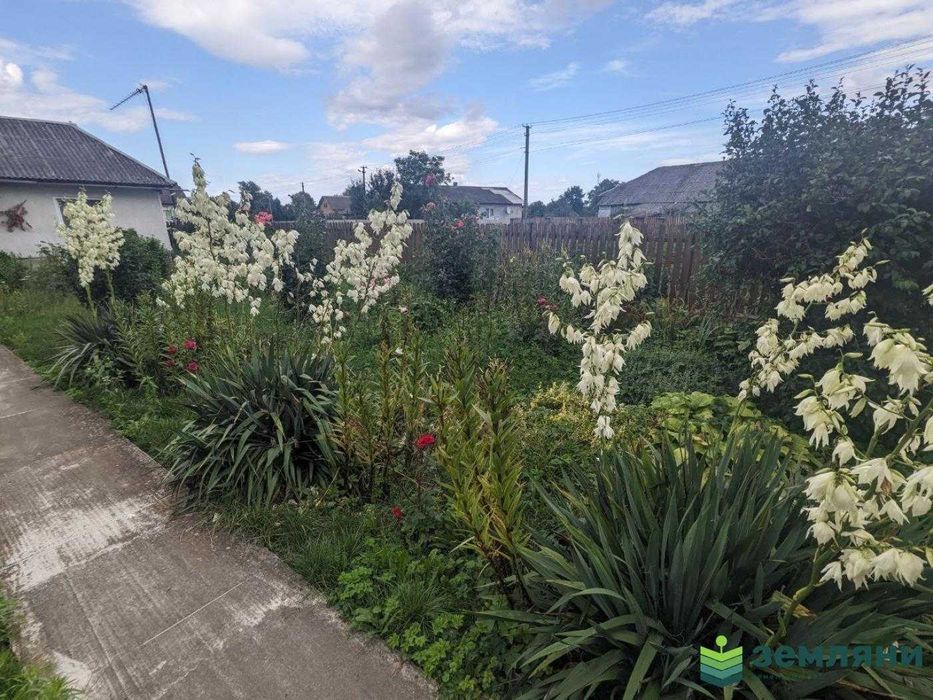 Продається готовий будинок у с. Липівка по вулиці Миру (12)