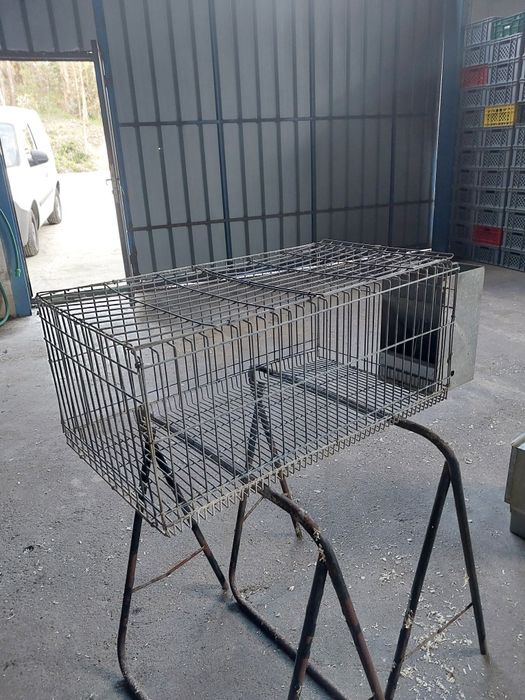 Jaulas para coelhos