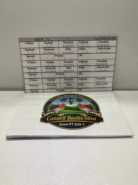 Registo de criação personalizado