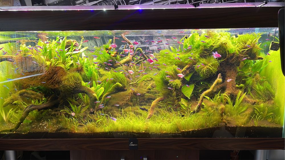 Komplente Akwarium 450l. Bogata oferta/ mozliwa zamiana zaproponuj