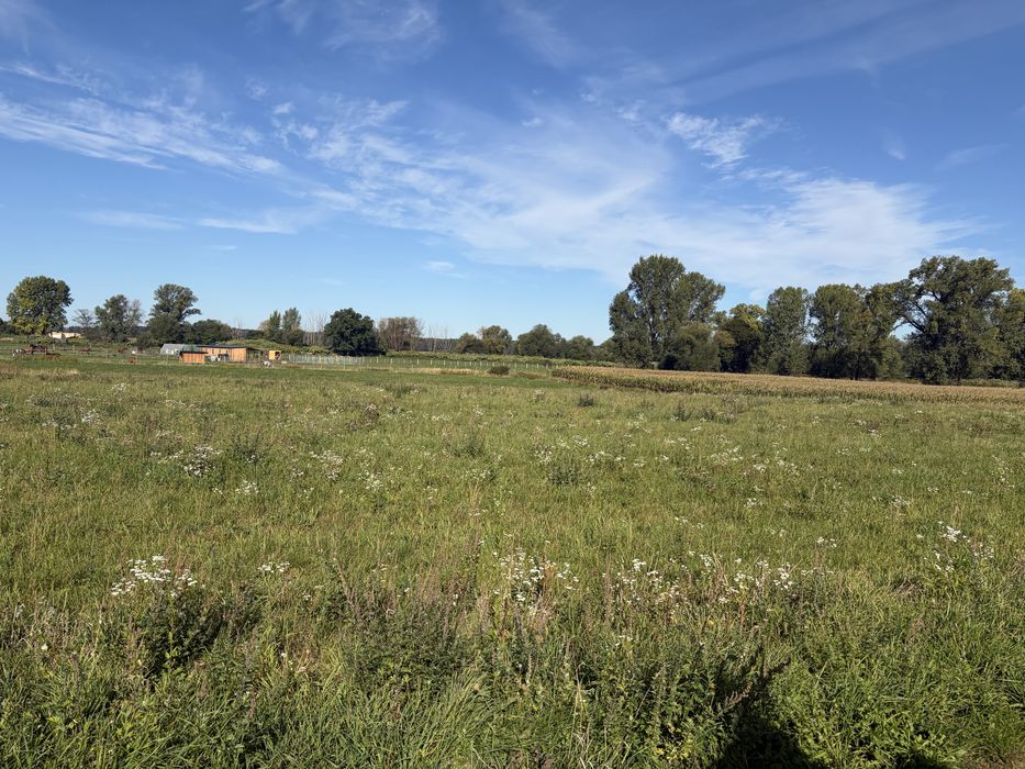 Dzialka budowlana  Świebodzice