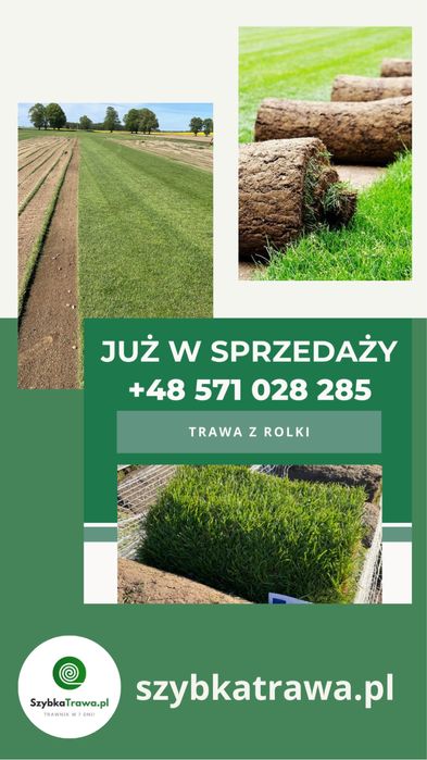 Trawa z rolki premium