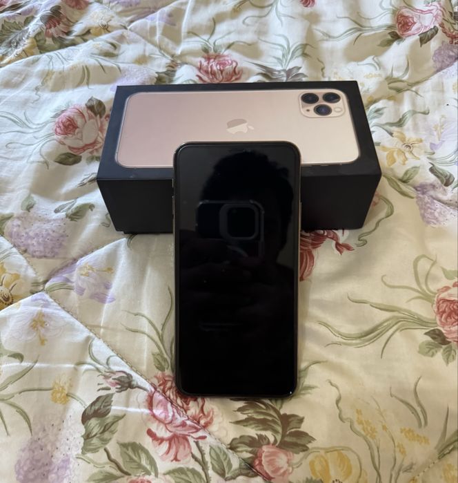 Iphone 11 pro max 256 gb como novo