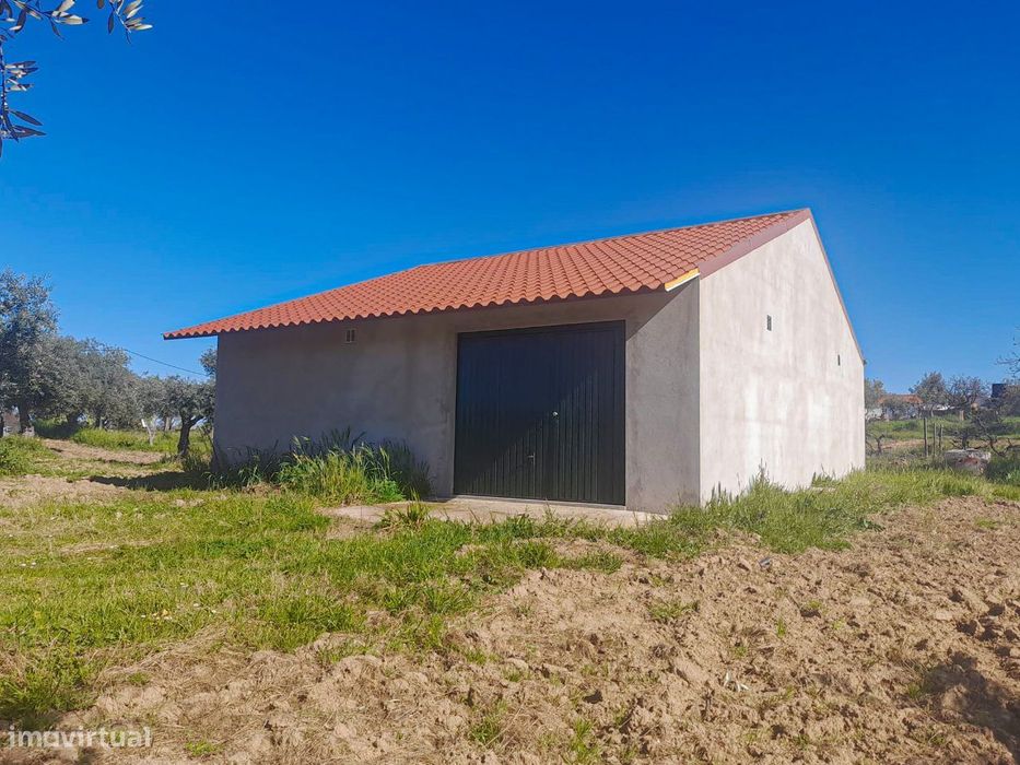 Quinta